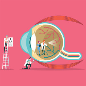 Vector image of retina
