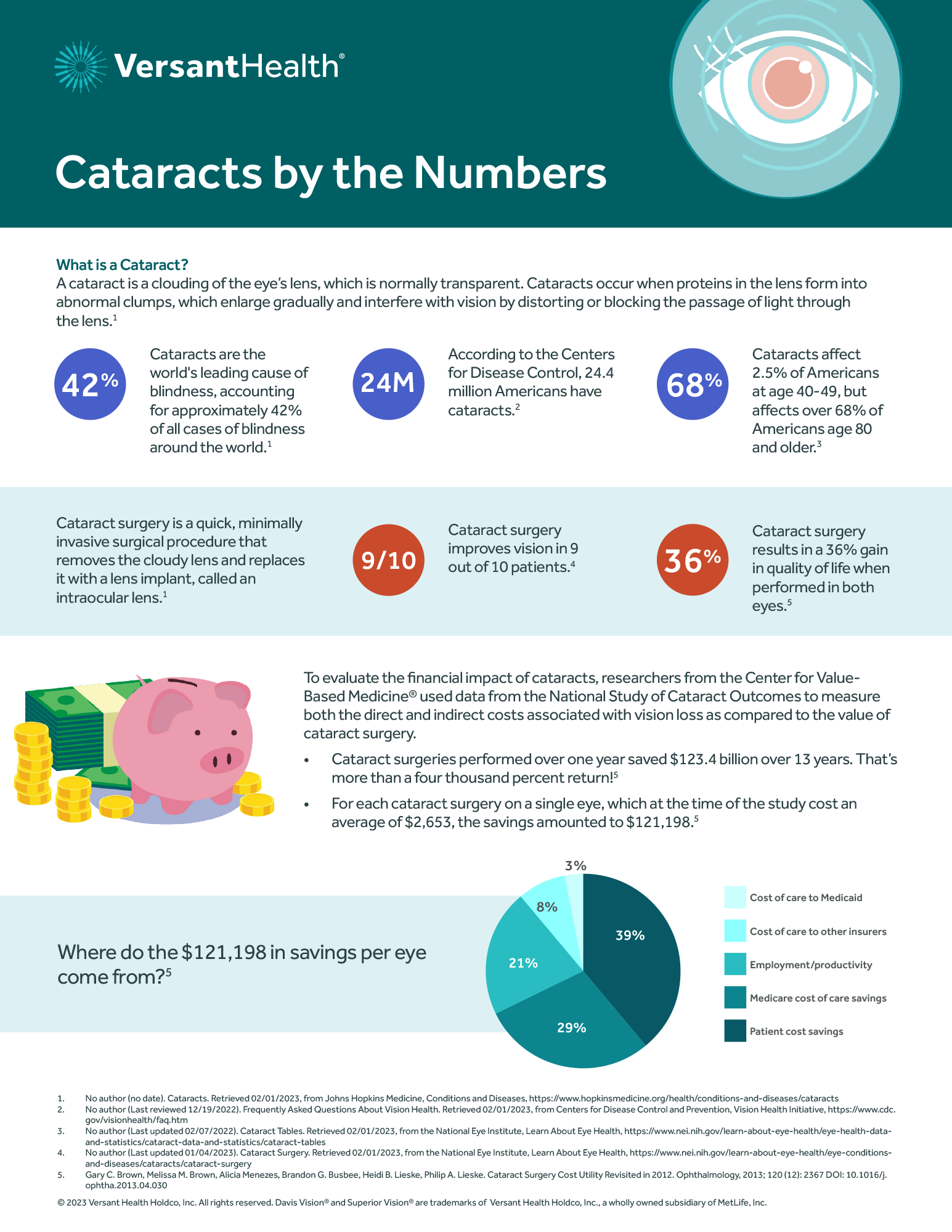Screenshot of the cataracts by the numbers infographic