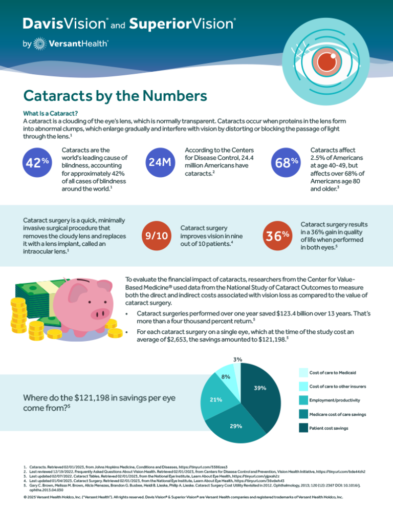 Preview of the cataracts infographic