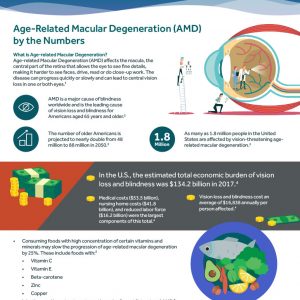 Preview of the AMD infographic