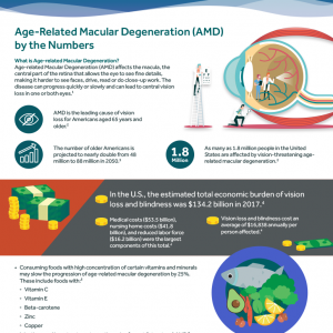 Low-resolution preview of the Age-Related Macular Degeneration infographic