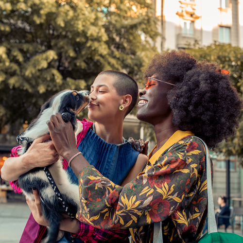 Two women greeting their dog